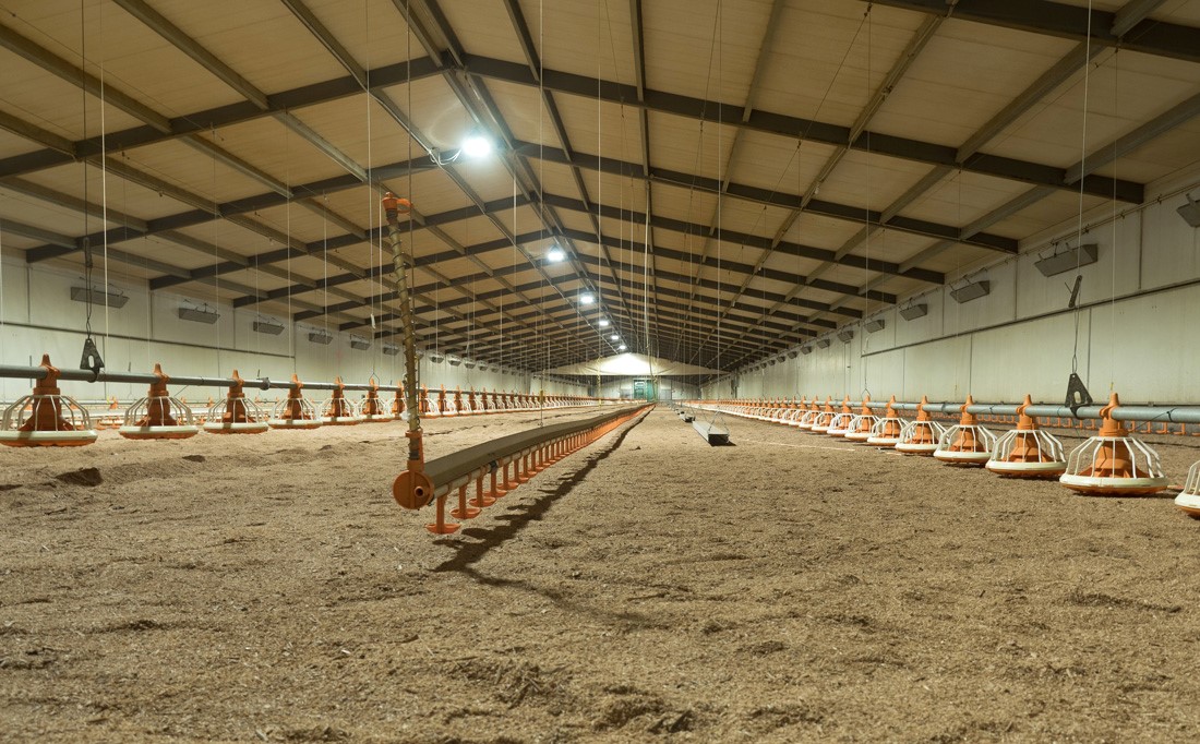 Poultry Farm Vortex Pro 120W Light – LED light designed for poultry farm applications.